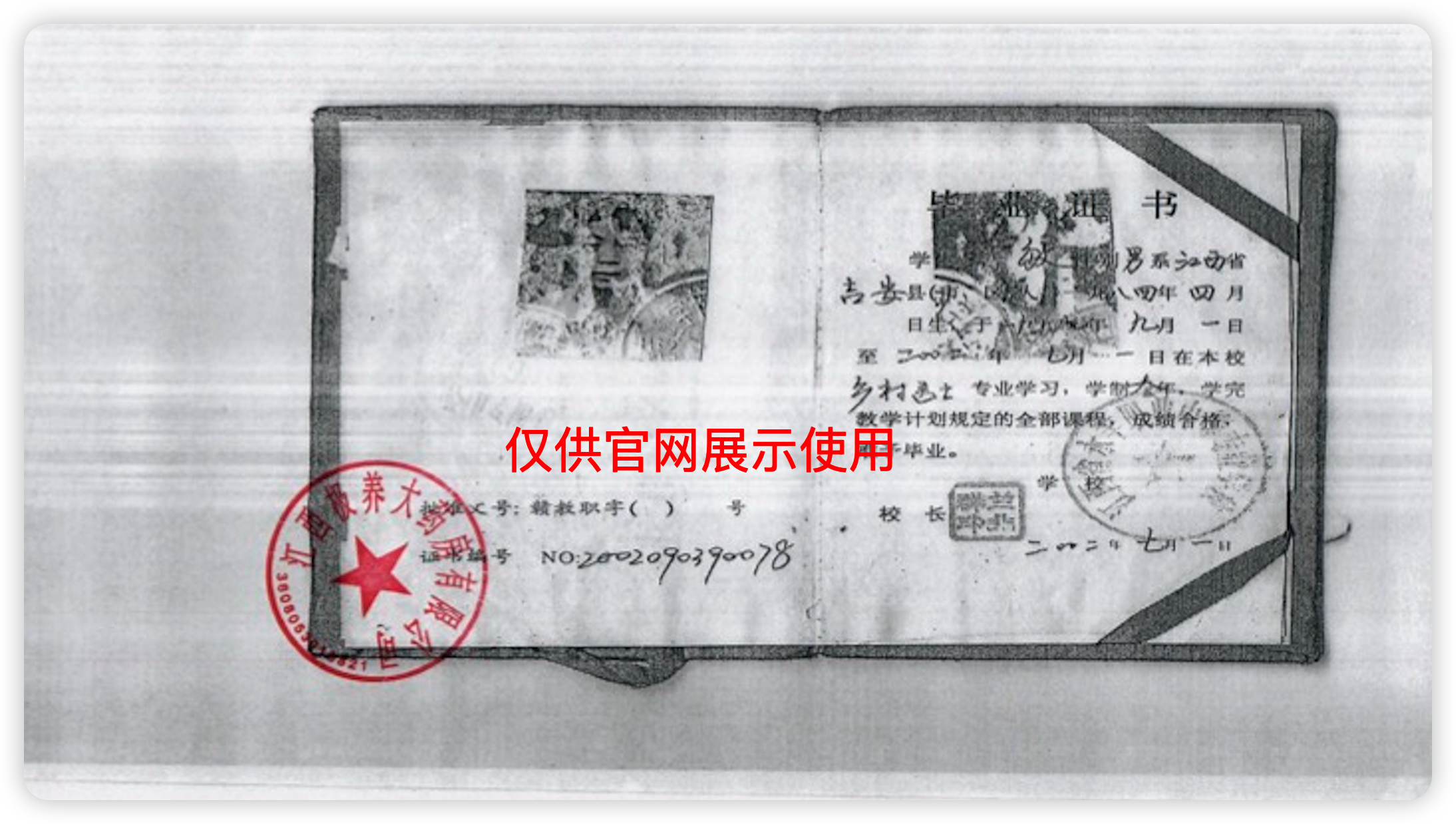 iShot_2026-03-17_15.46.46.png